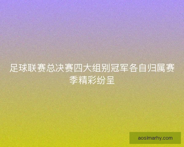 足球联赛总决赛四大组别冠军各自归属赛季精彩纷呈