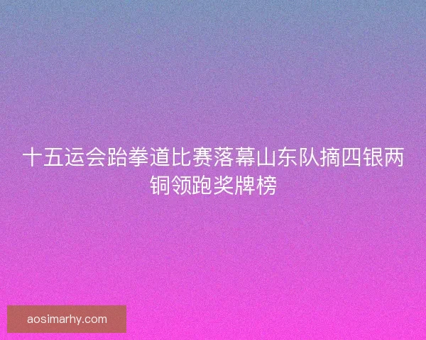 十五运会跆拳道比赛落幕山东队摘四银两铜领跑奖牌榜